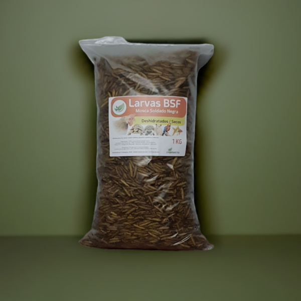 Larva Mosca Soldado Negra BSF deshidratado 1KG
